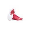 Aerus Ruby Red 3