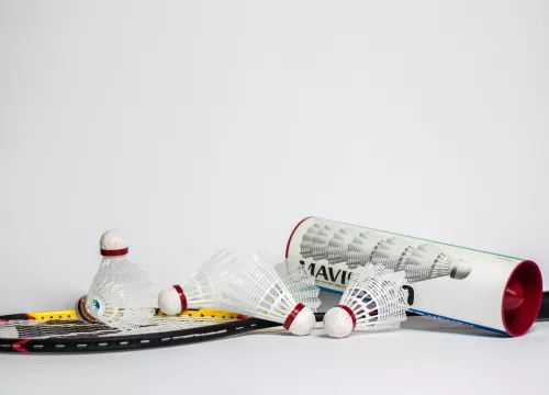 Badminton